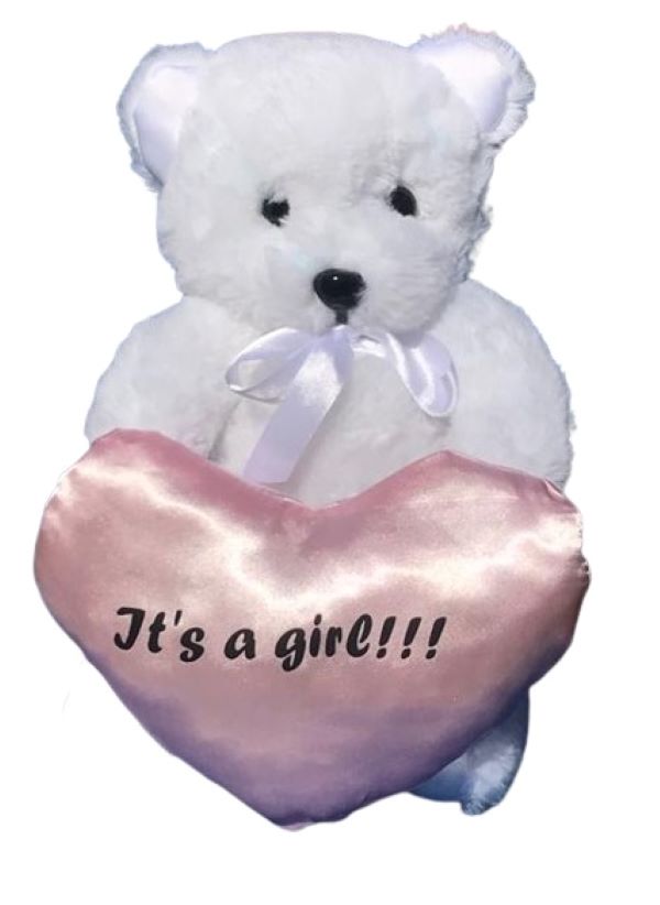 Gender Reveal Bear - Image 4