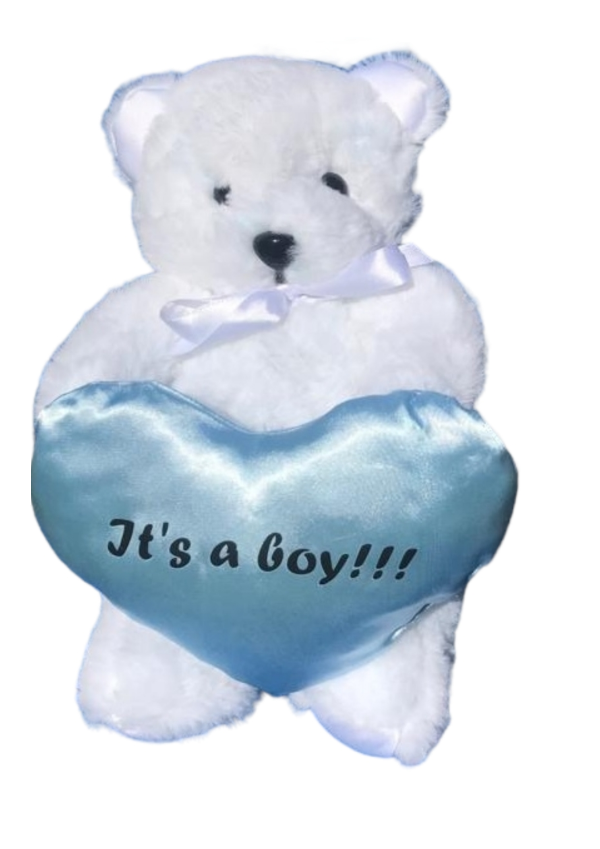 Gender Reveal Bear - Image 5